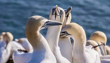 开云app-余嘉豪晒五次转机为国出征vlog:人生中目前为止最困难的旅途